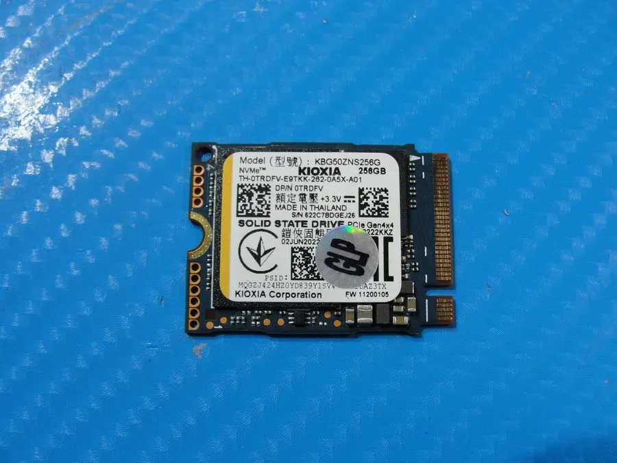 KBG50ZNS256G