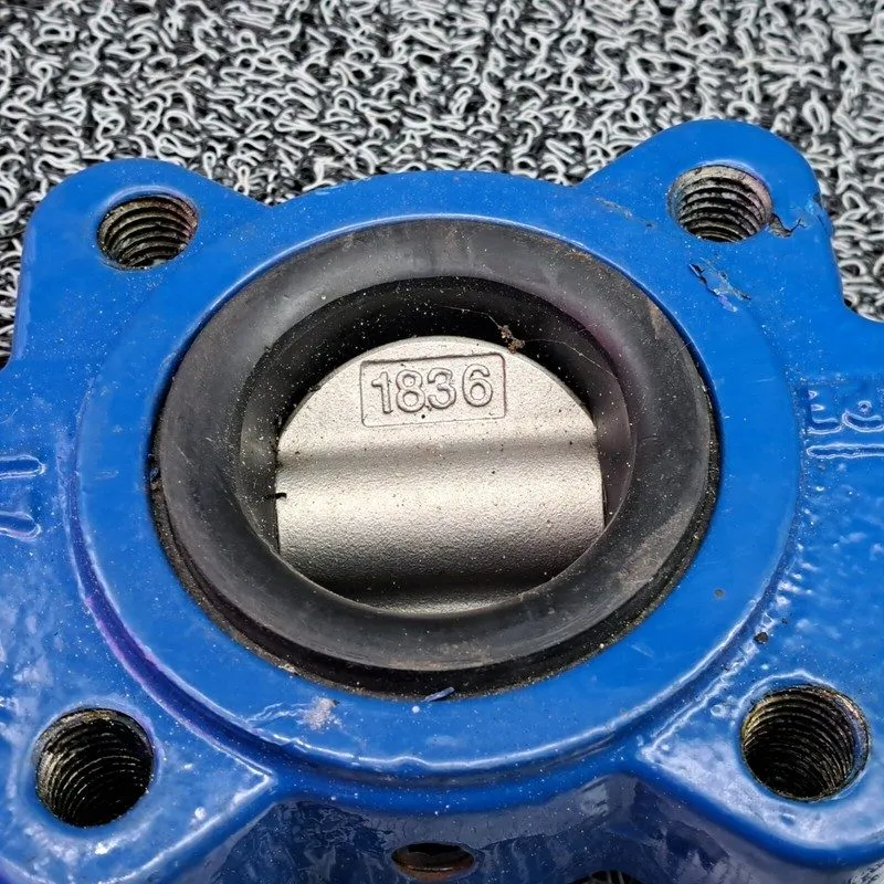 Клапан Sharpe® 17L26421 Butterfly Valve, Lug Style, Ductile Iron, Stainless Stee — фото лота 2