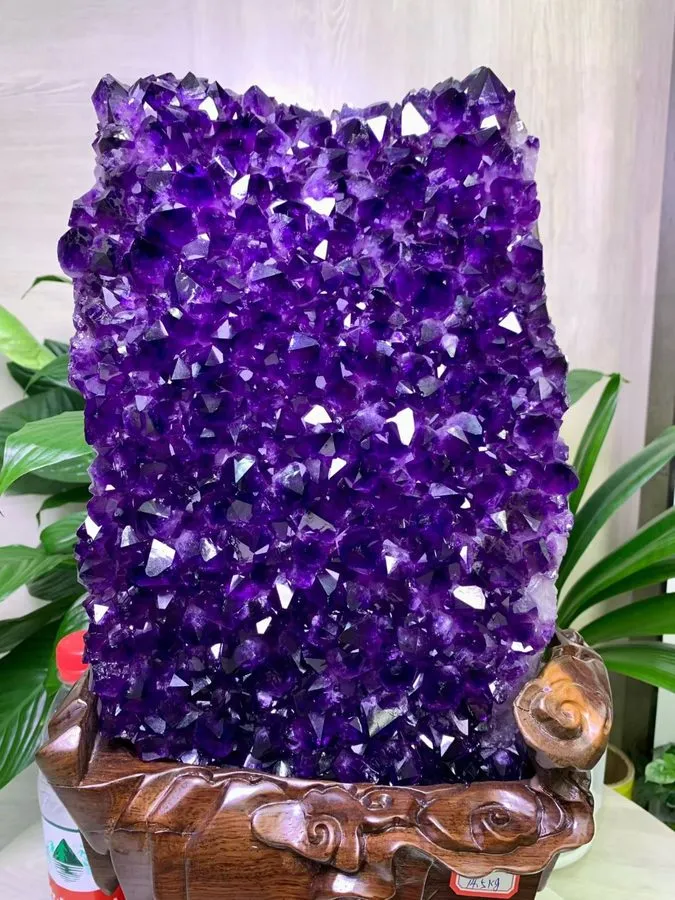 Лабораторный прибор 31.9LB TOP Natural Fossil wood fossil quartz crystal Mineral