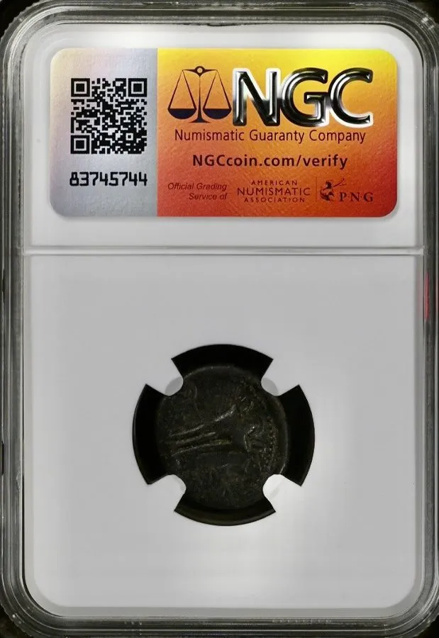 Оборудование видеонаблюдения Antiochus II 261BC-246BC Ancient Greek Coin Seleuci — фото лота 1