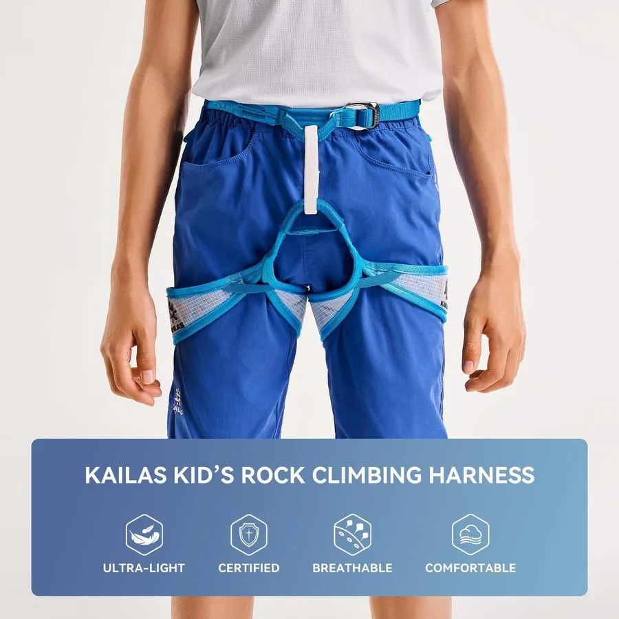 Жгут проводов Hover2 Harness — фото лота 1