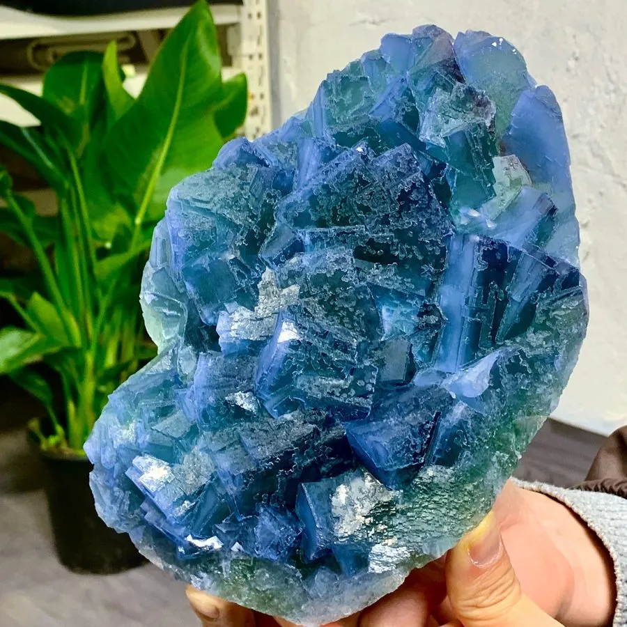 Лабораторный прибор 5.01LB Natural purple-green fluorite grape shape Crystal Mad