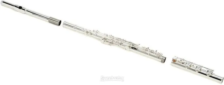 Лабораторный прибор Selmer SFL411BEO Intermediate Flute with Silver-plated Keys — фото лота 1