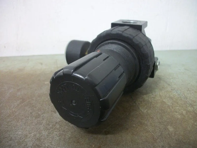 Трубопроводная арматура Parker 06R313AC Pneumatic Pressure Regulator
