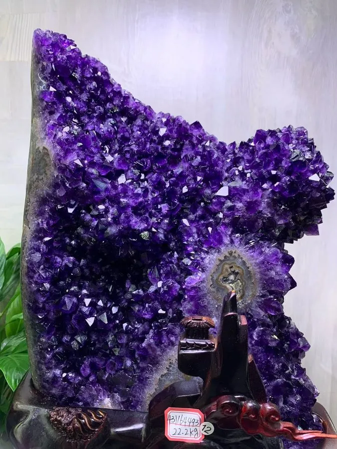 Лабораторный прибор 48.84LB TOP Natural Uruguay Amethyst flowers quartz crystal  — фото лота 1