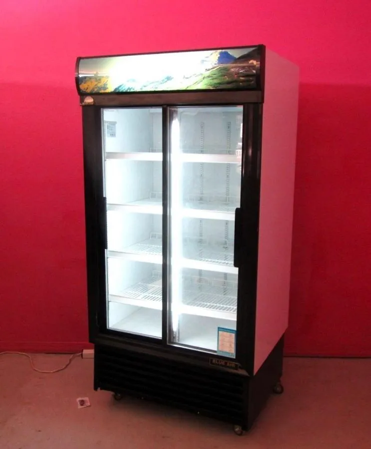 Холодильный шкаф Blue Air BAGR35 Reach In 2 Glass Door Merchandising Display Ref — фото лота 1