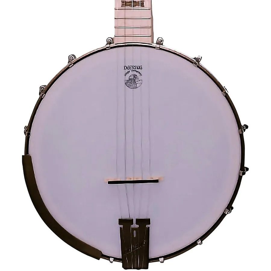 Лабораторный прибор Deering Goodtime Deco 5String Openback Banjo — фото лота 2