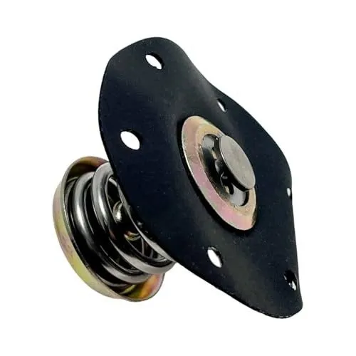 Трубопроводная арматура Fuel Pressure Regulator Diaphragm 17110851