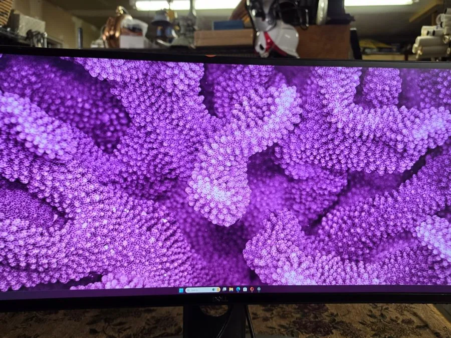Монитор Dell UltraSharp U4919DW 49" Curved LED Monitor 5120x1440 32:9 HDMI USB-C — фото лота 2