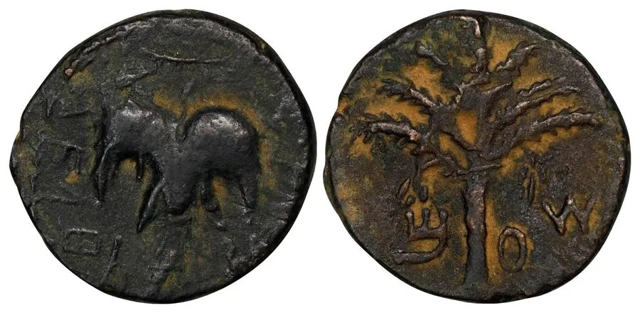 Лабораторный прибор Judaea Bar Kokhba Revolt (132-135 AD) Middle Bronze Palm Tre — фото лота 2