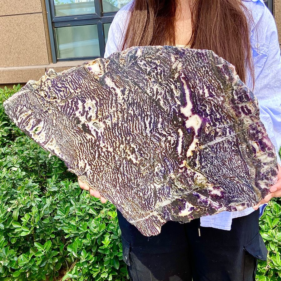 Лабораторный прибор 12.1LB Natural Zebra Stone and purple Fluorite Coexistence S