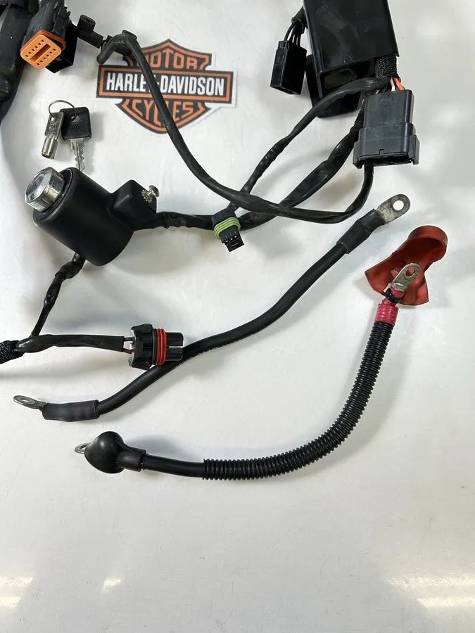 Жгут проводов 2007-2012 Harley-davidson Sportster 1200 Xl1200c Main Engine Wirin — фото лота 1