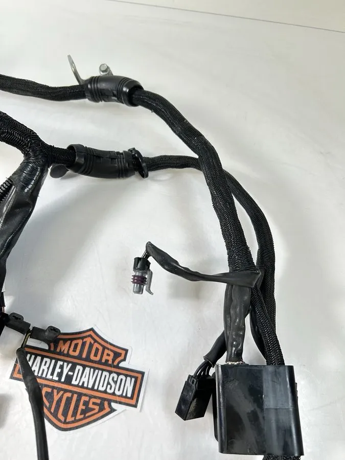 Жгут проводов 2007-2012 Harley-davidson Sportster 1200 Xl1200c Main Engine Wirin — фото лота 2