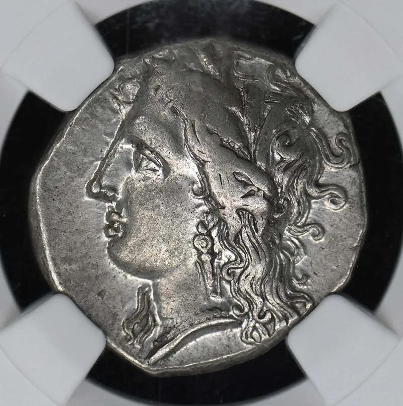 Лабораторный прибор c.330-280 BC LUCANIA, METAPONTUM AR Stater NGC VF — фото лота 2