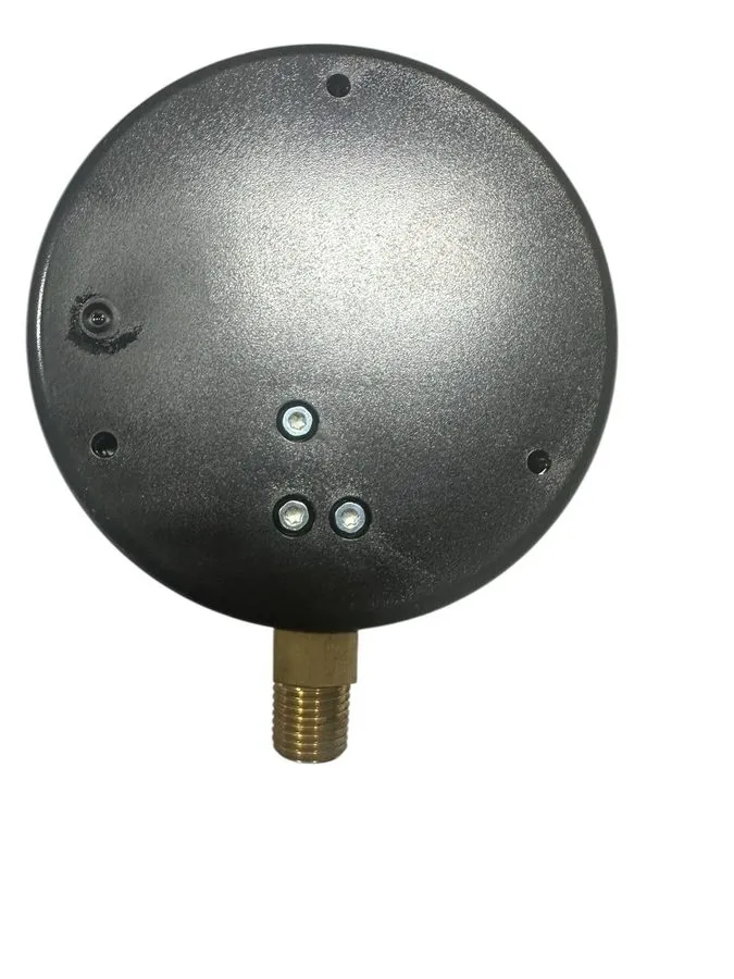 Трубопроводная арматура Wika Instruments 4276095 111.10SP 4" Air/Water Pressure 