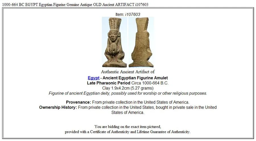 Лабораторный прибор 1000-664 BC EGYPT Egyptian Figurine Antique OLD Ancient ARTI — фото лота 2