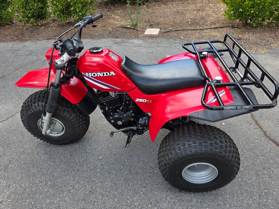 Лабораторный прибор 1985 HONDA ATC250SX HONDALINE REAR RACK FENDERS — фото лота 1