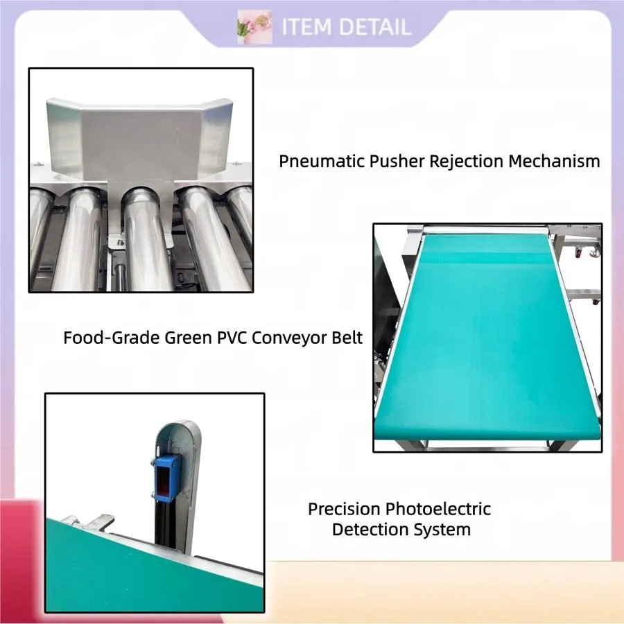 Конвейер Automatic Inline Checkweigher Weighing Conveyor with Pusher Rejection A — фото лота 2