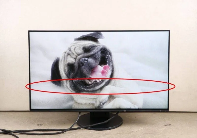 Монитор EIZO EV2451 23.8 Inch Wide Full HD IPS Monitor HDMI Speaker