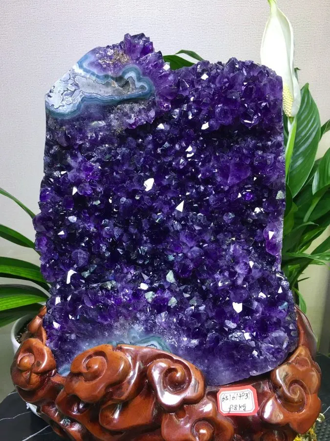 Лабораторный прибор 21.56LB High quality Natural Amethyst Geode Quartz Crystal C