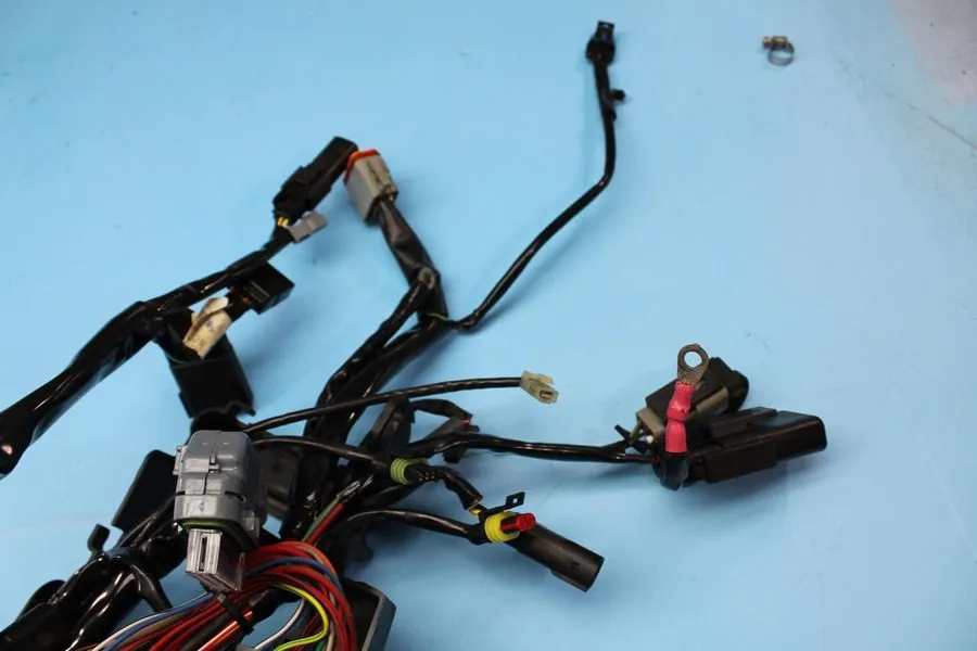 Жгут проводов 16-20 HARLEY-DAVIDSON SPORTSTER IRON XL1200 MAIN ENGINE WIRING HAR