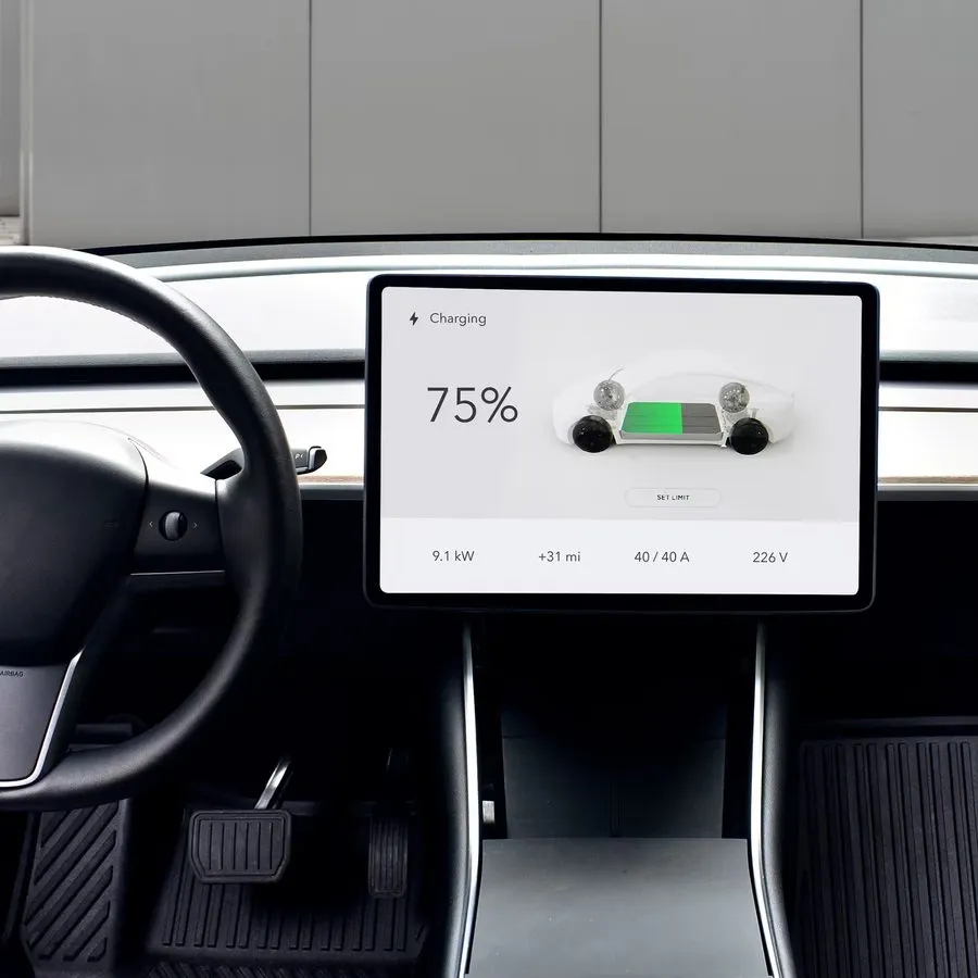 Энергооборудование Lectron Tesla Level 2 NEMA-1450 V-Box Pro App & Wi-Fi Compati — фото лота 1