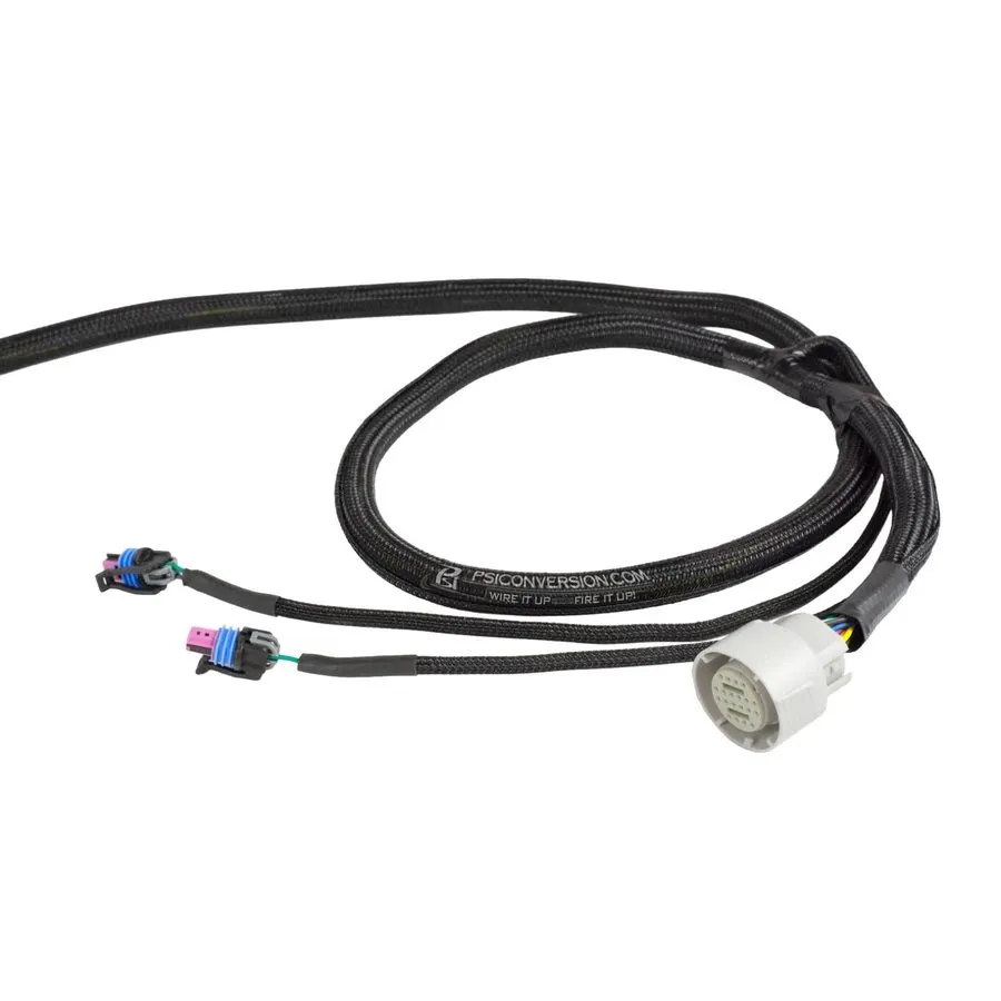 Жгут проводов PSI Conversion PSI-HAR-3038 Gen IV LS E38 Harness DBW M/T — фото лота 1
