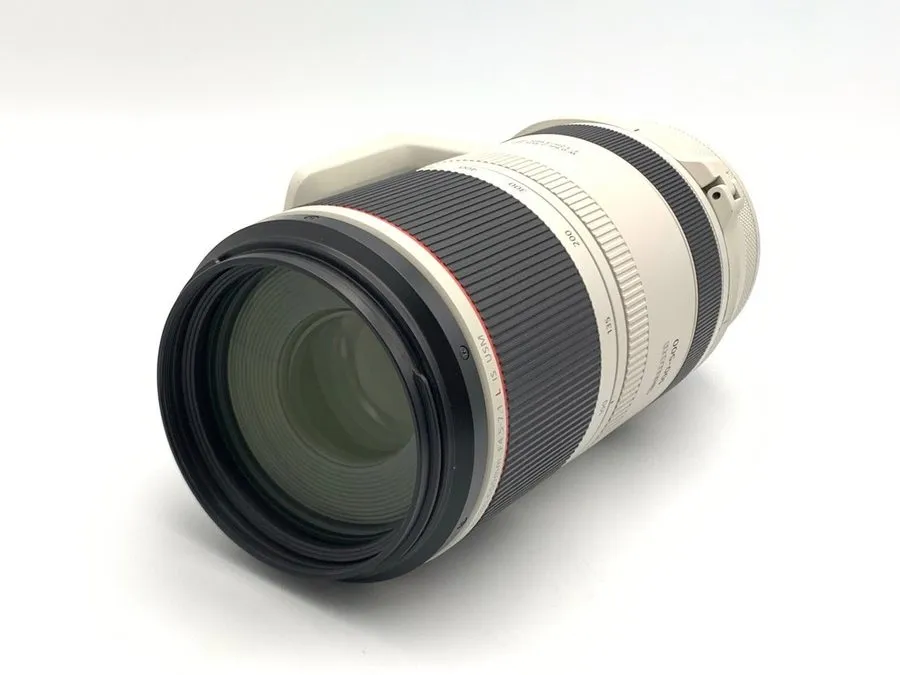 Объектив Canon RF100-500mm F4.5-7.1 L IS USM Telephoto Zoom Lens RF from Japan D