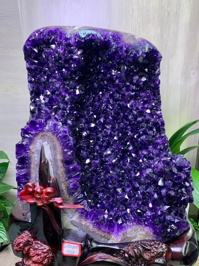 Лабораторный прибор 69.3LB TOP Natural amethyst geode quartz cluster crystal cat