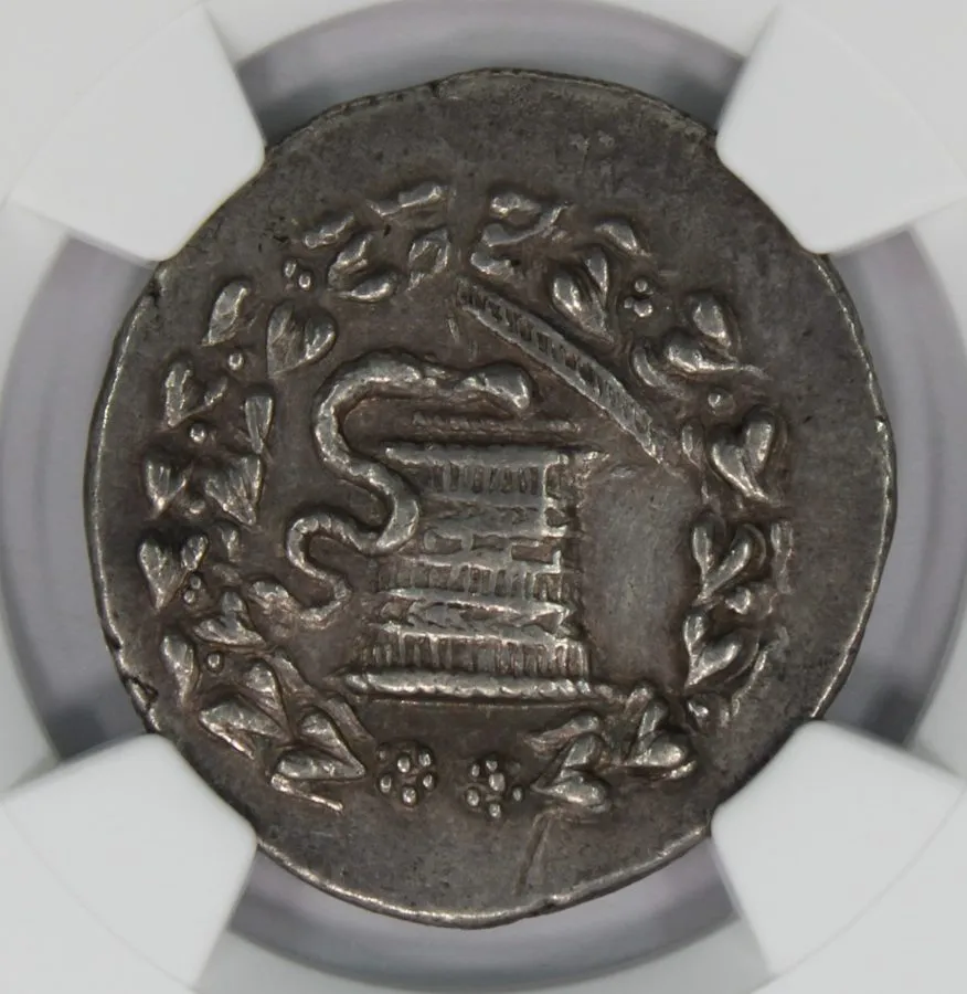 Лабораторный прибор Phrygia Apameia 166-133 BC AR Cistophorus Tetradrachm NGC Ch — фото лота 2