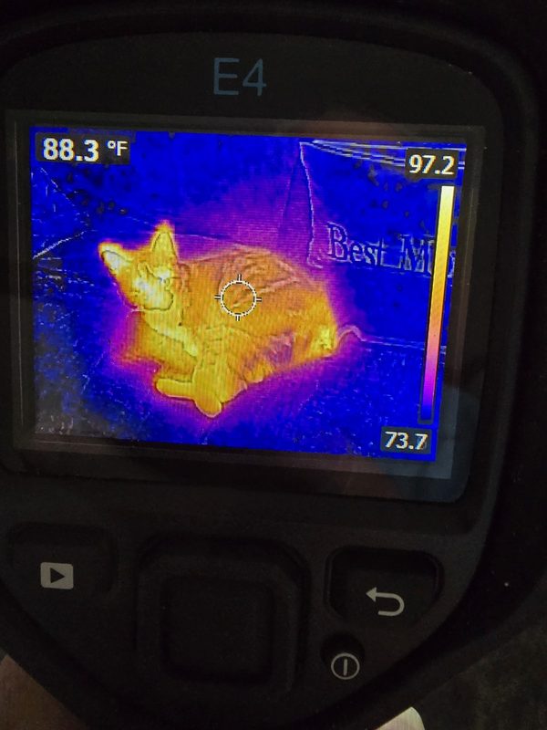 Оптико-электронная система FLIR 63906-0604