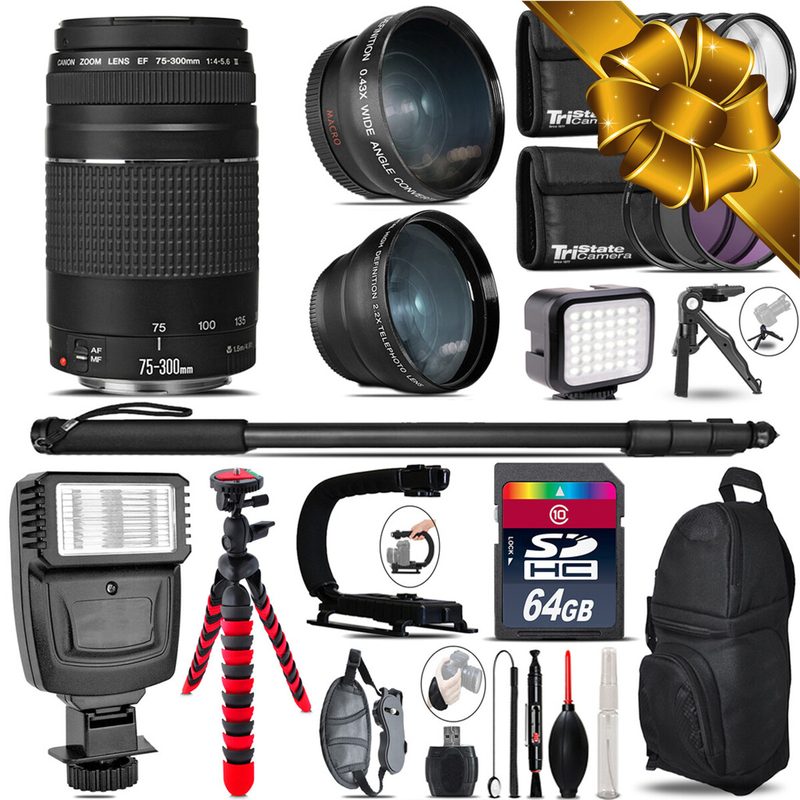Объектив Canon 75-300