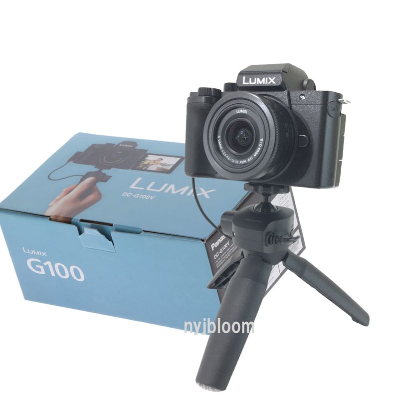 Фотокамера Panasonic DC-G100V
