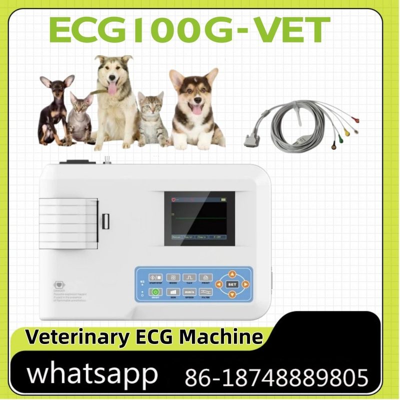 Электрокардиограф ECG100G-VET