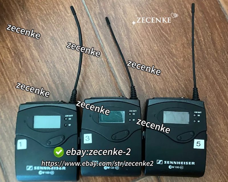 Радиосистема EK100G3