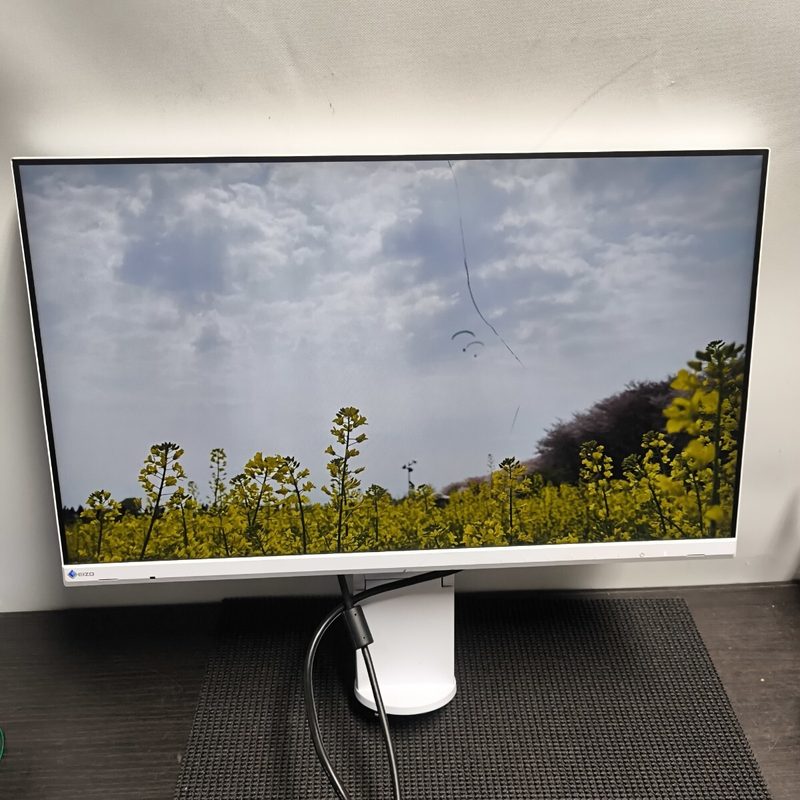 Монитор EV2460