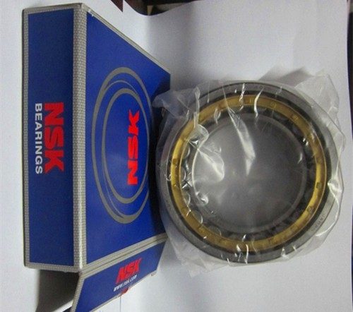 Подшипник NF205EM