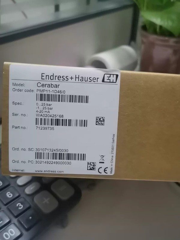 Датчик давления Endress+Hauser PMP11-AA1U1RBWJJ