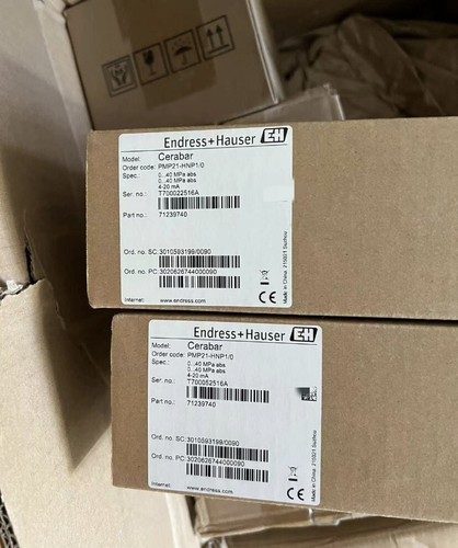 Датчик давления Endress+Hauser PMP21-HNP1/0