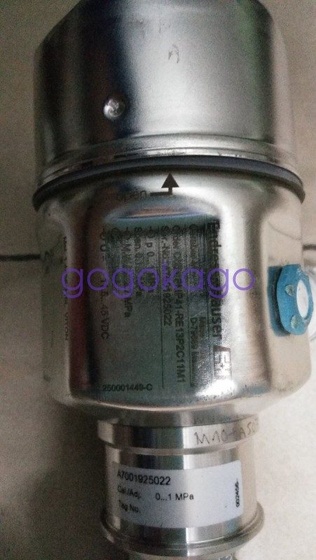 Датчик давления Endress+Hauser PMP41-RE13P2C11M1