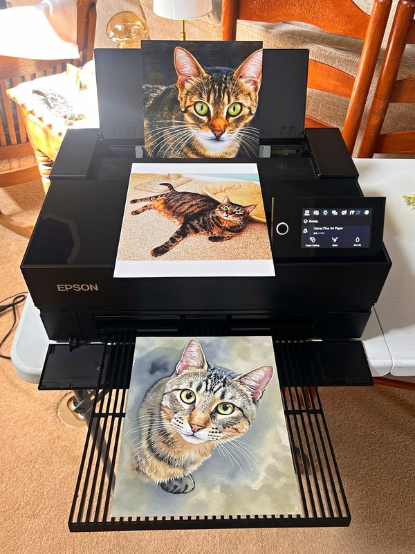 Принтер Epson SC-P700