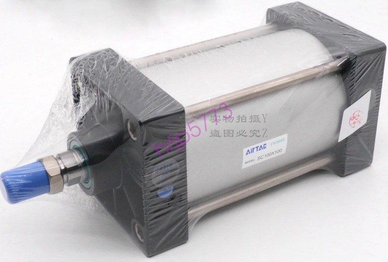 Пневмоцилиндр AirTAC SC100X100S