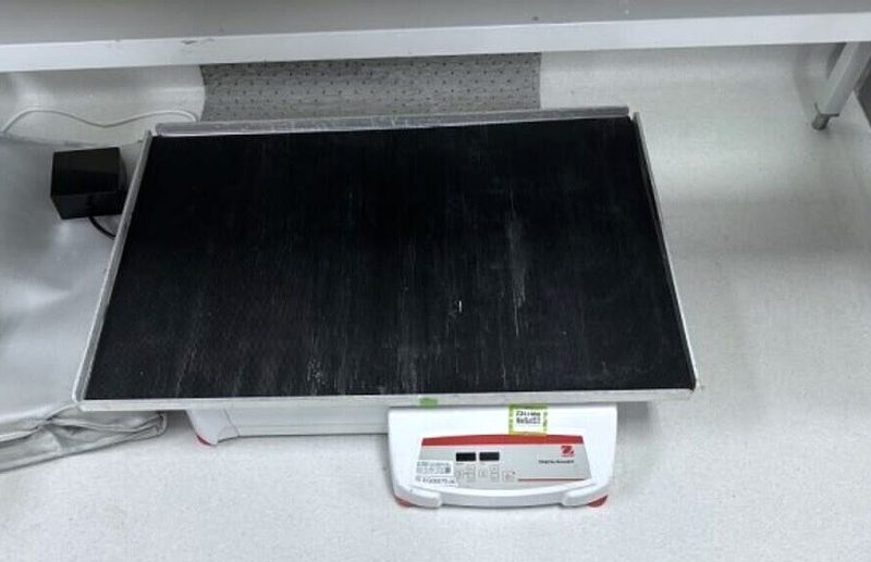 Шейкер SHHD6850DG