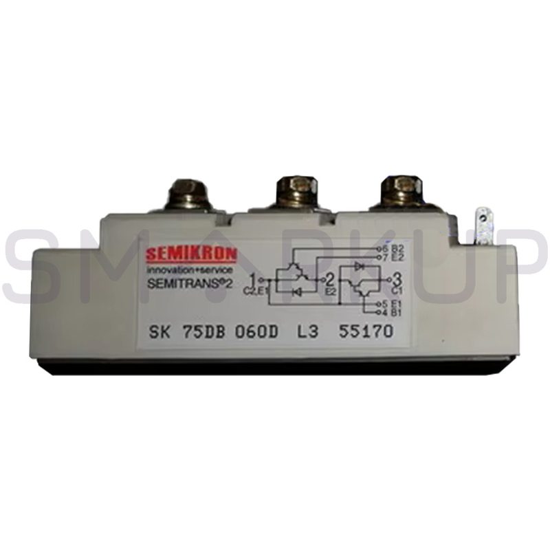 Силовой модуль SK75DB060D