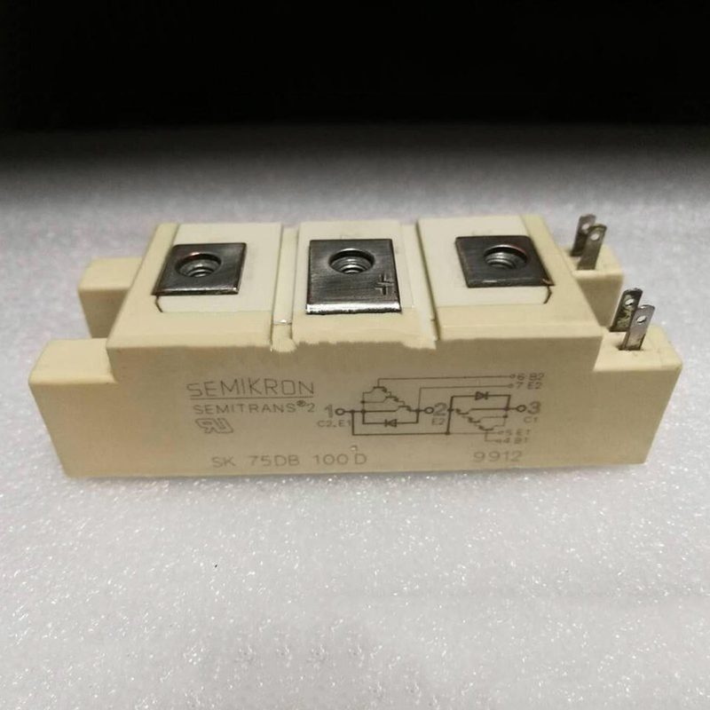 Силовой модуль SK75DB100D