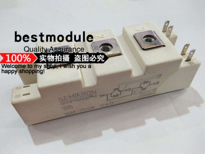 Силовой модуль IGBT SKM75GB124D