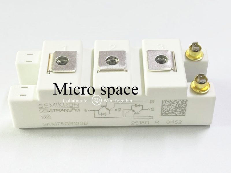 Силовой модуль SKM75GB17E4